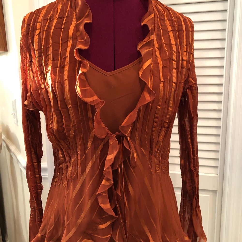 Rust Blouse - image 1
